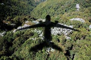 Guilty pleasures: Can you fly without the footprint?