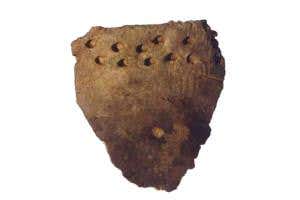 Island of wild children: Would they learn to be human?