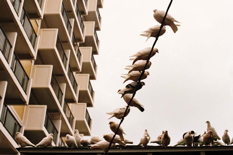 New Scientist. Science news and long reads from expert journalists, covering developments in science, technology, health and the environment on the website and the magazine.