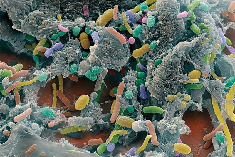 New Scientist. Science news and long reads from expert journalists, covering developments in science, technology, health and the environment on the website and the magazine.