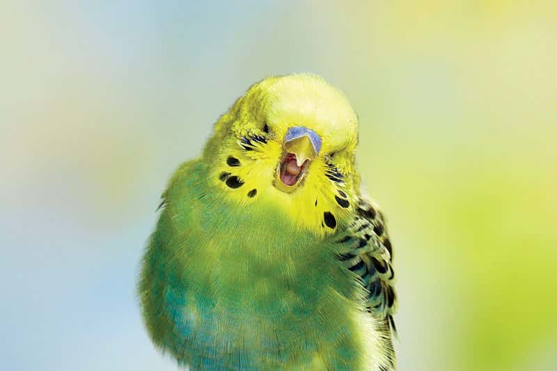 New Scientist. Science news and long reads from expert journalists, covering developments in science, technology, health and the environment on the website and the magazine.