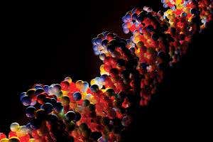 DNA is life's blueprint? No, there's far more to it than that