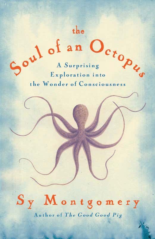 The Soul of an Octopus: Getting to know an intelligent mollusc