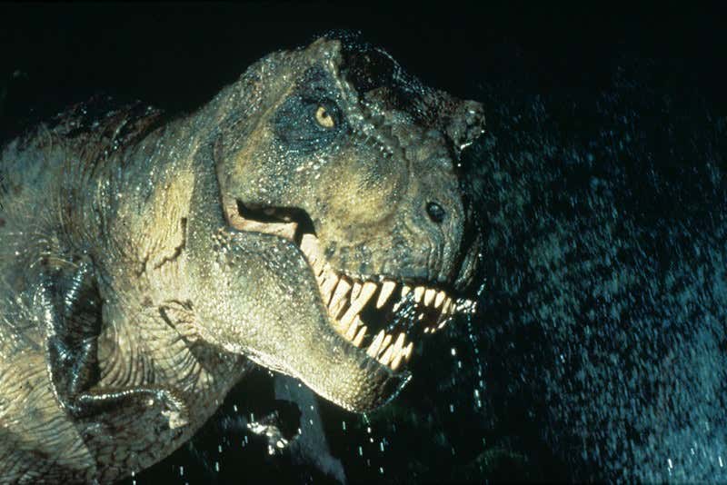 New Scientist. Science news and long reads from expert journalists, covering developments in science, technology, health and the environment on the website and the magazine.