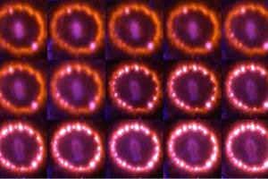 Supernova prized by astronomers begins to fade from view