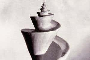 <i>Spirals in Time</i>: Uncover the secrets in seashells