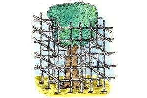 A green divide to keep us and nature apart would harm, not heal