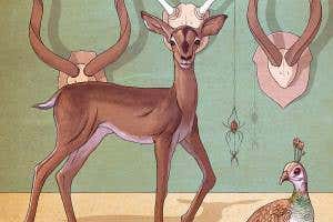 Gentle sex? Females just as feisty as males over reproduction