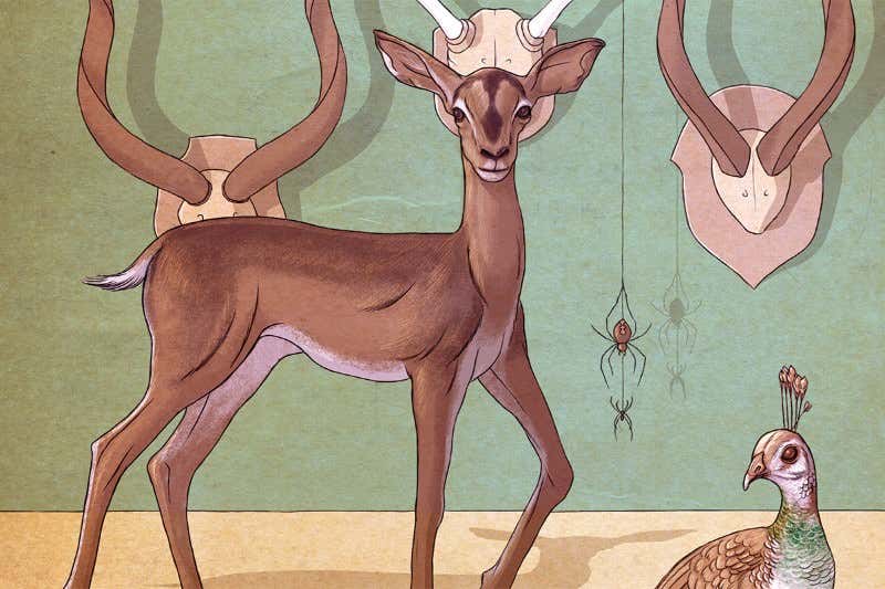 New Scientist. Science news and long reads from expert journalists, covering developments in science, technology, health and the environment on the website and the magazine.