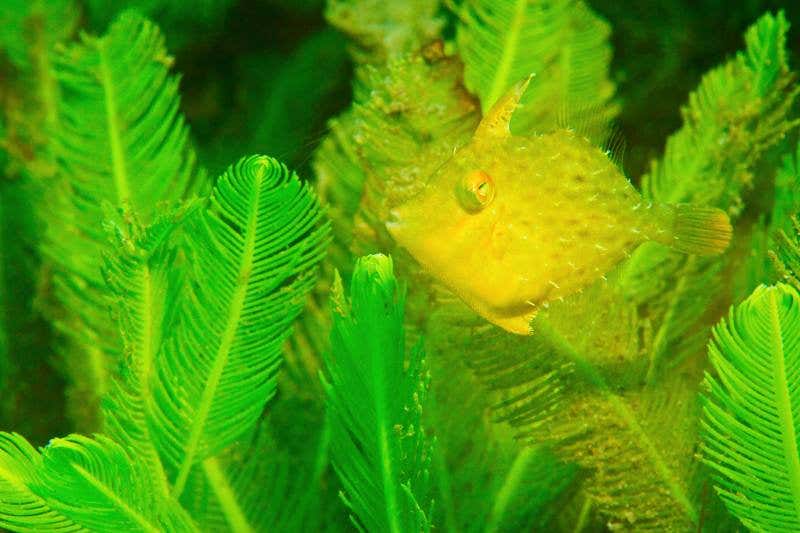 New Scientist. Science news and long reads from expert journalists, covering developments in science, technology, health and the environment on the website and the magazine.