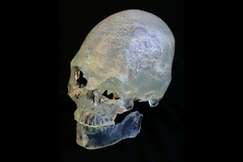 New Scientist. Science news and long reads from expert journalists, covering developments in science, technology, health and the environment on the website and the magazine.