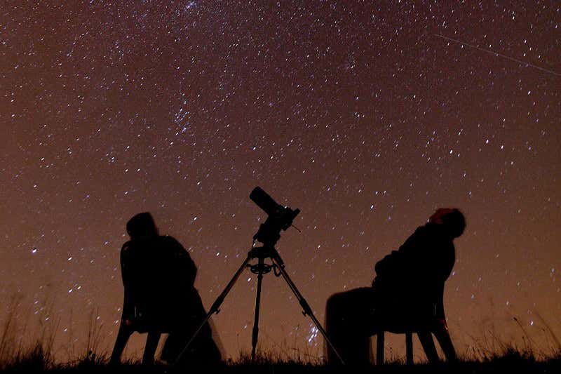 New Scientist. Science news and long reads from expert journalists, covering developments in science, technology, health and the environment on the website and the magazine.