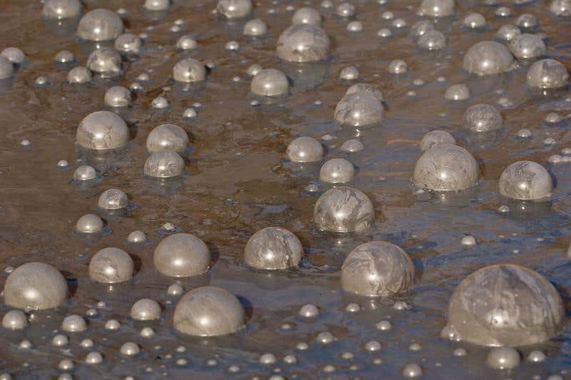 New Scientist. Science news and long reads from expert journalists, covering developments in science, technology, health and the environment on the website and the magazine.