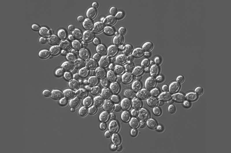 New Scientist. Science news and long reads from expert journalists, covering developments in science, technology, health and the environment on the website and the magazine.