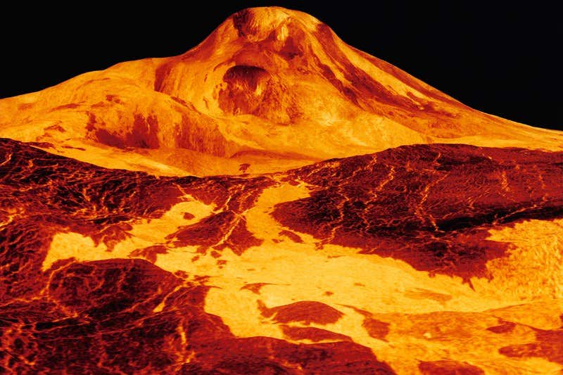 New Scientist. Science news and long reads from expert journalists, covering developments in science, technology, health and the environment on the website and the magazine.