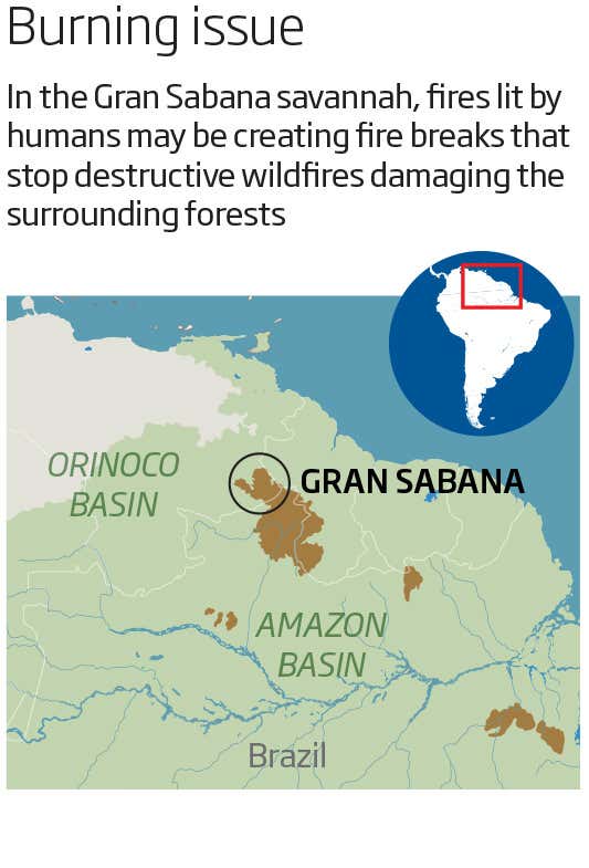 New Scientist. Science news and long reads from expert journalists, covering developments in science, technology, health and the environment on the website and the magazine.