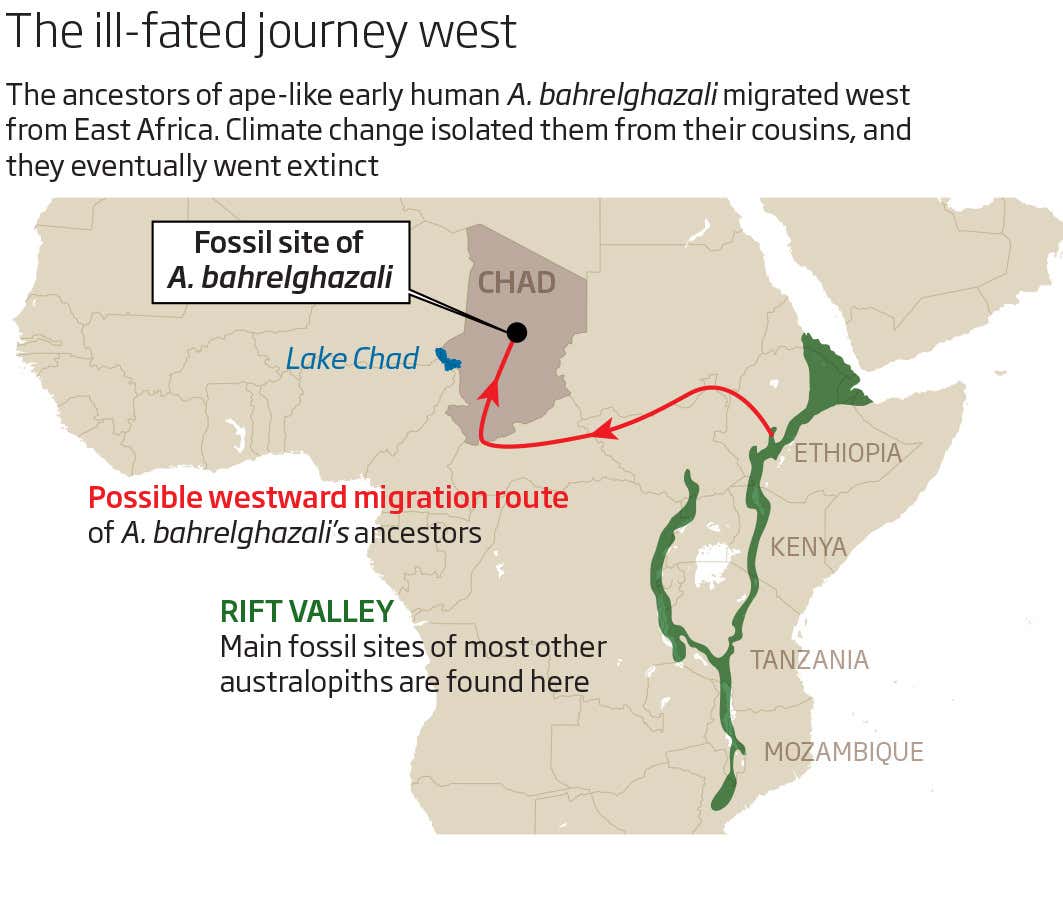 New Scientist. Science news and long reads from expert journalists, covering developments in science, technology, health and the environment on the website and the magazine.