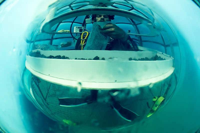Underwater farmers grow strawberries in balloon gardens