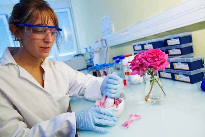 New Scientist. Science news and long reads from expert journalists, covering developments in science, technology, health and the environment on the website and the magazine.