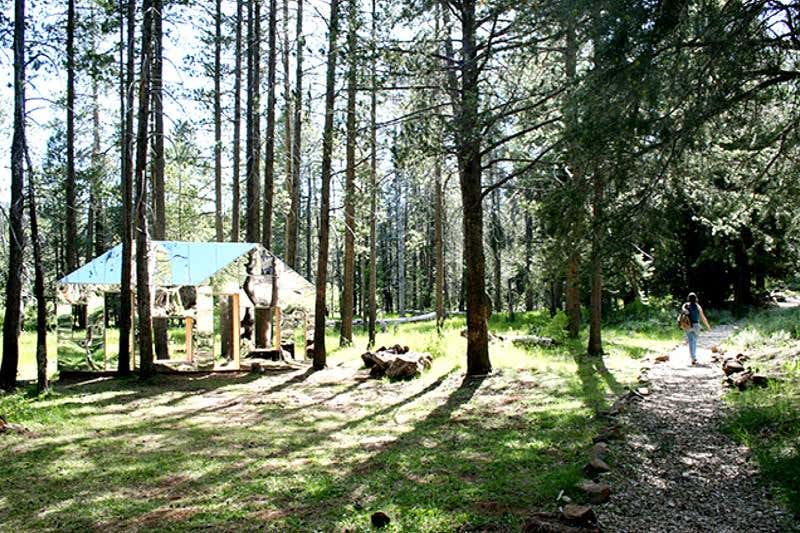 New Scientist. Science news and long reads from expert journalists, covering developments in science, technology, health and the environment on the website and the magazine.