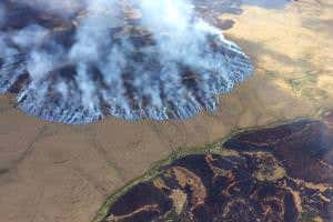 Global wildfire switch now set to 'on' for longer