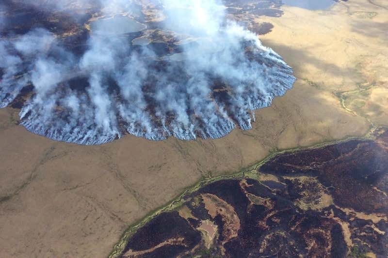 New Scientist. Science news and long reads from expert journalists, covering developments in science, technology, health and the environment on the website and the magazine.