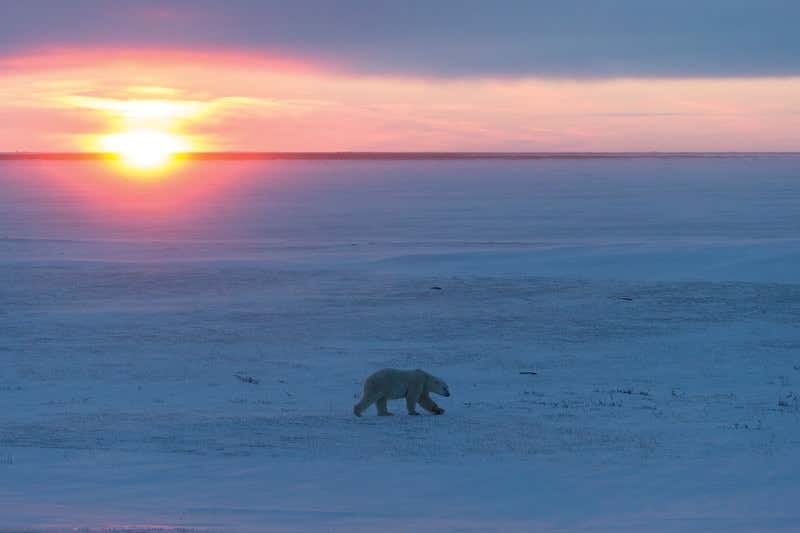 New Scientist. Science news and long reads from expert journalists, covering developments in science, technology, health and the environment on the website and the magazine.