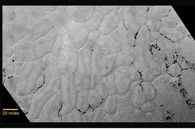 New Scientist. Science news and long reads from expert journalists, covering developments in science, technology, health and the environment on the website and the magazine.