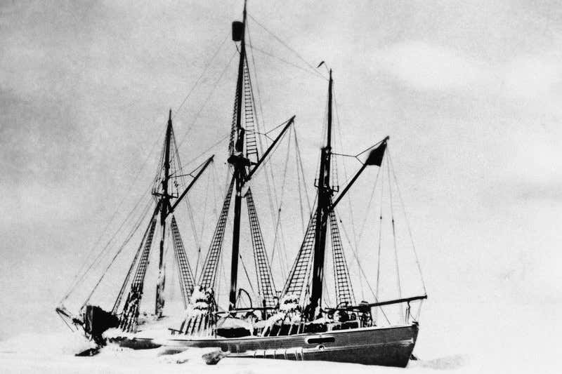 New Scientist. Science news and long reads from expert journalists, covering developments in science, technology, health and the environment on the website and the magazine.