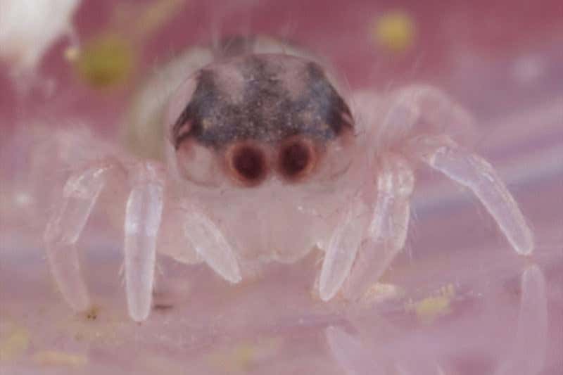 New Scientist. Science news and long reads from expert journalists, covering developments in science, technology, health and the environment on the website and the magazine.