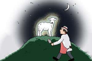 Feedback: Glowing lamb highlights lab sabotage