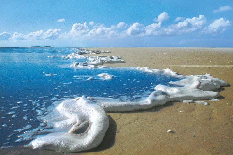 New Scientist. Science news and long reads from expert journalists, covering developments in science, technology, health and the environment on the website and the magazine.