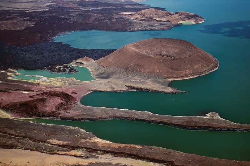 New Scientist. Science news and long reads from expert journalists, covering developments in science, technology, health and the environment on the website and the magazine.