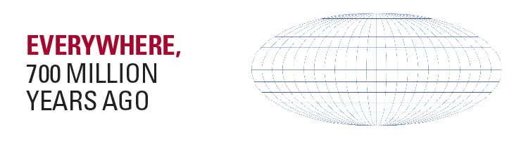 New Scientist. Science news and long reads from expert journalists, covering developments in science, technology, health and the environment on the website and the magazine.