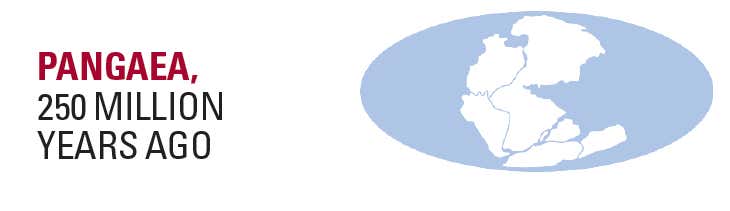 New Scientist. Science news and long reads from expert journalists, covering developments in science, technology, health and the environment on the website and the magazine.