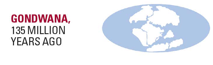 New Scientist. Science news and long reads from expert journalists, covering developments in science, technology, health and the environment on the website and the magazine.