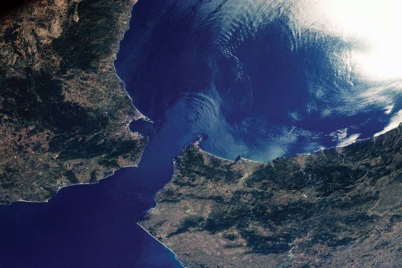 New Scientist. Science news and long reads from expert journalists, covering developments in science, technology, health and the environment on the website and the magazine.