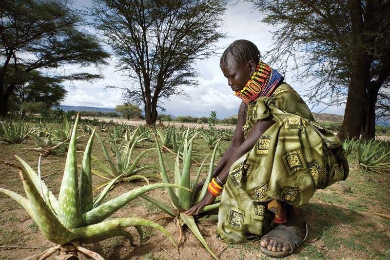 New Scientist. Science news and long reads from expert journalists, covering developments in science, technology, health and the environment on the website and the magazine.