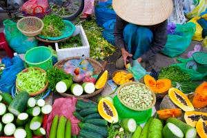 <i>The Nature of Crops</i>: Why do we eat so few of the edible plants?