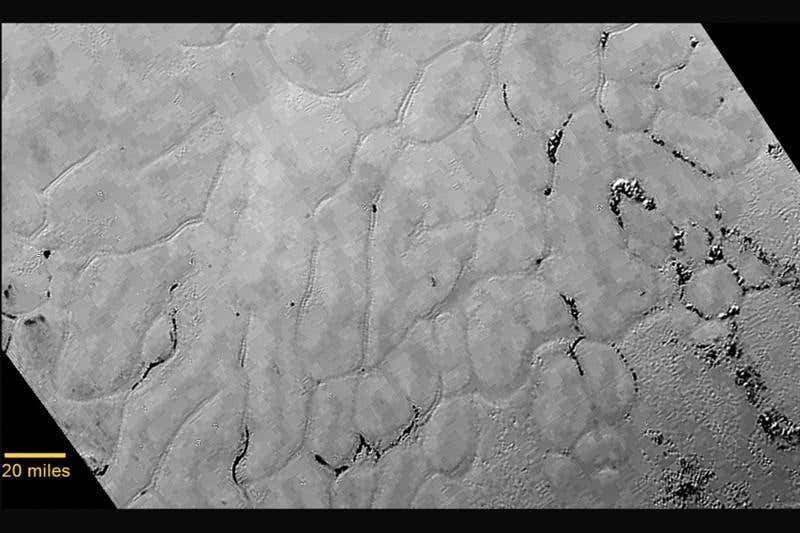 New Scientist. Science news and long reads from expert journalists, covering developments in science, technology, health and the environment on the website and the magazine.