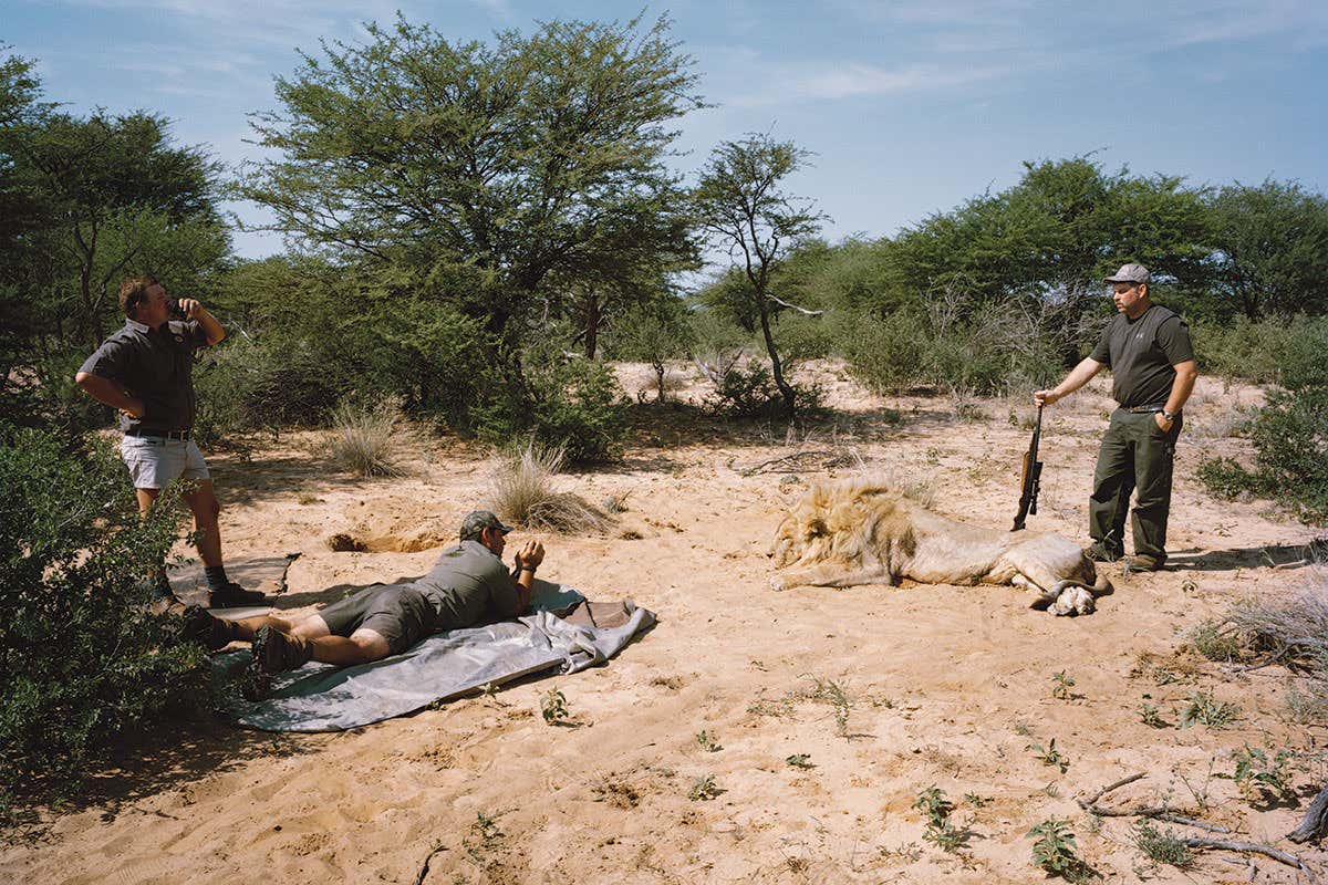 New Scientist. Science news and long reads from expert journalists, covering developments in science, technology, health and the environment on the website and the magazine.