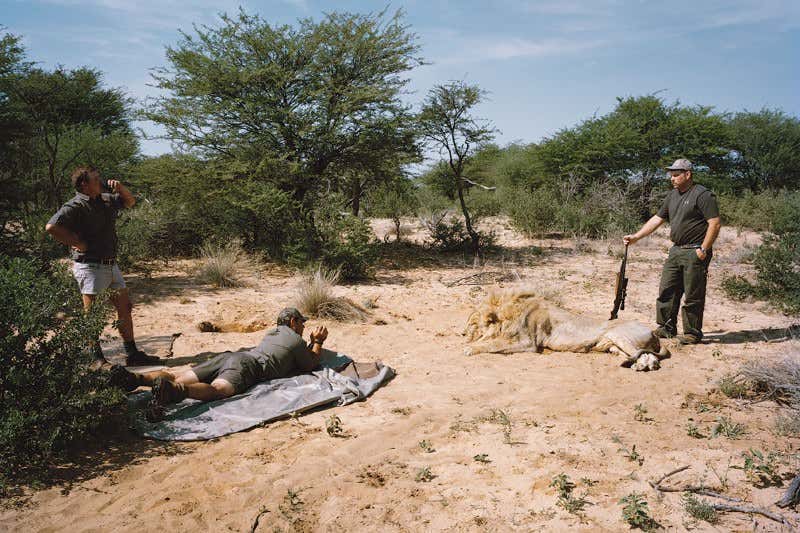New Scientist. Science news and long reads from expert journalists, covering developments in science, technology, health and the environment on the website and the magazine.
