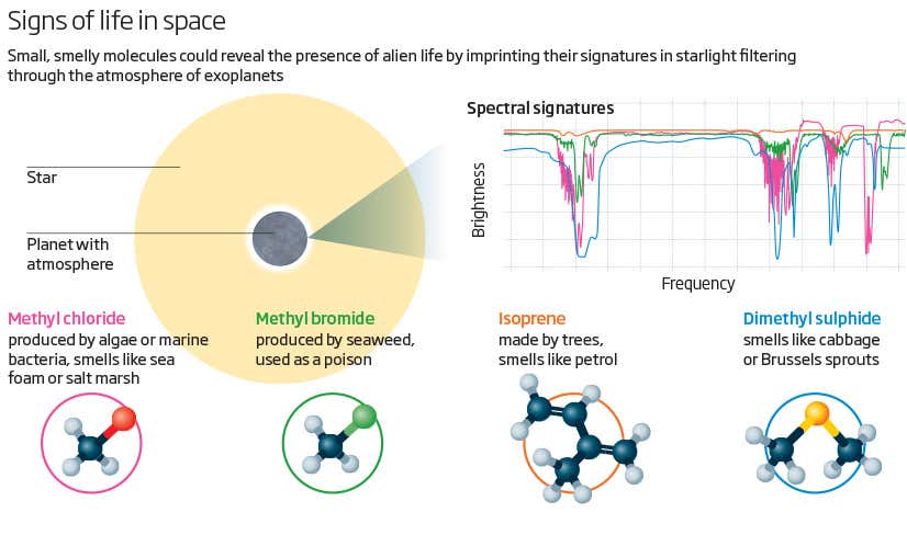 New Scientist. Science news and long reads from expert journalists, covering developments in science, technology, health and the environment on the website and the magazine.