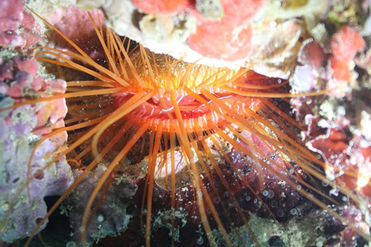 New Scientist. Science news and long reads from expert journalists, covering developments in science, technology, health and the environment on the website and the magazine.