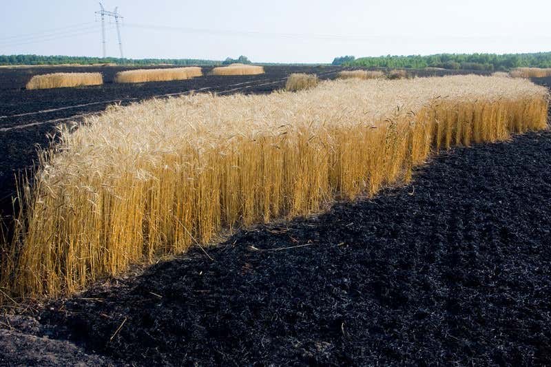 New Scientist. Science news and long reads from expert journalists, covering developments in science, technology, health and the environment on the website and the magazine.