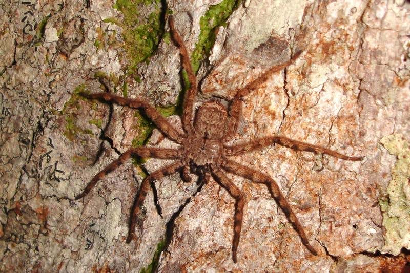 New Scientist. Science news and long reads from expert journalists, covering developments in science, technology, health and the environment on the website and the magazine.