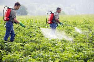 ‘Big Farmer' firms plan pesticides to manipulate gene expression