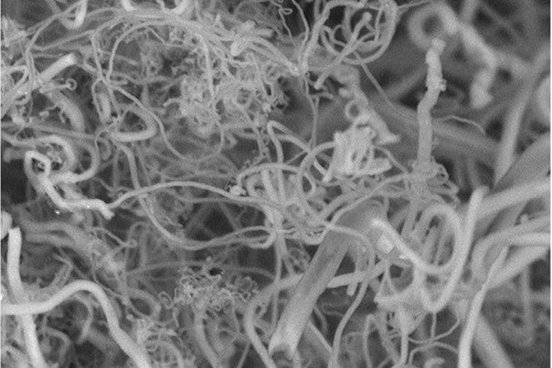 New Scientist. Science news and long reads from expert journalists, covering developments in science, technology, health and the environment on the website and the magazine.