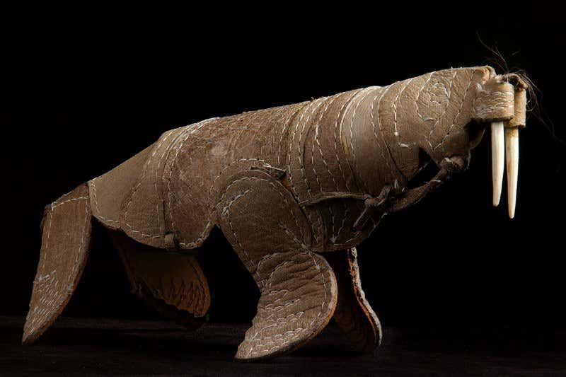 New Scientist. Science news and long reads from expert journalists, covering developments in science, technology, health and the environment on the website and the magazine.