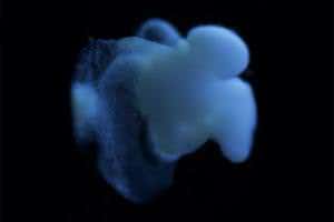 Scientists reject claims of lab-grown mini human brain